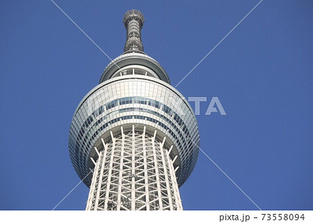 見上げる東京スカイツリー 73558094