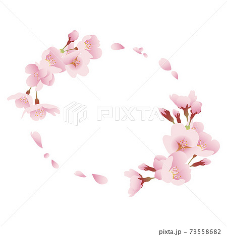 桜の花と花びら 丸い飾り枠 イラスト素材のイラスト素材