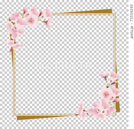 桜の花と金枠（和風、正方形）のイラスト素材 [73559293] - PIXTA
