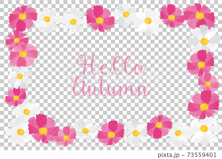 使用波斯菊的裝飾框架的秋天的圖像素材 73559401