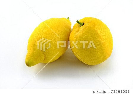 Two yellow lemons with green leaves on white background. Fresh citrus. 73561031