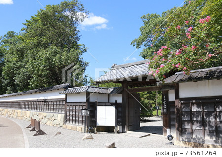 滋賀県彦根市の玄宮園 73561264