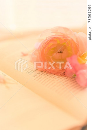 英語の本の上に飾られている ピンク色のラナンキュラスとスイートピーの写真素材