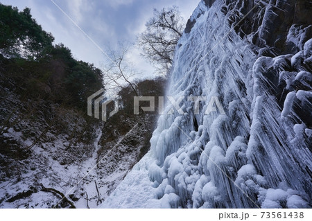 凍ってツララのできた美しい滝。愛媛県東温市にある白猪の滝の氷瀑。 73561438