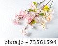 桜の木の枝 桜の木の枝 73561594
