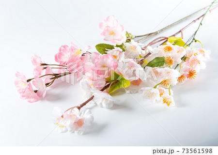 桜の木の枝 73561598