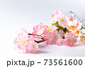桜の木の枝 桜の木の枝 73561600