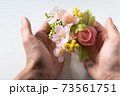 春のイメージ 桜 春のイメージ 桜 73561751