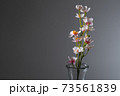 花瓶と桜 黒バック 花瓶と桜 黒バック 73561839