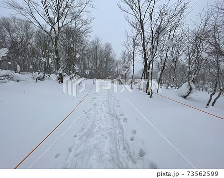 福島県のアルツ磐梯スキー場と猫魔スキー場を結ぶ雪上徒歩ルート 福島県のアルツ磐梯スキー場と猫魔スキー場を結ぶ雪上徒歩ルート 73562599