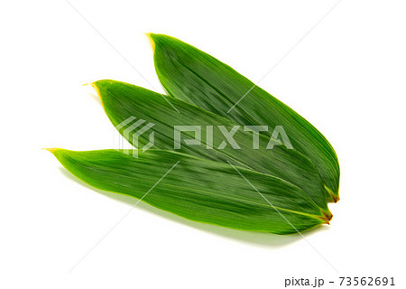 笹の葉の背景素材 73562691
