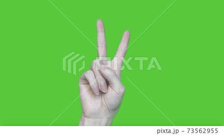 指 手 ピース 73562955