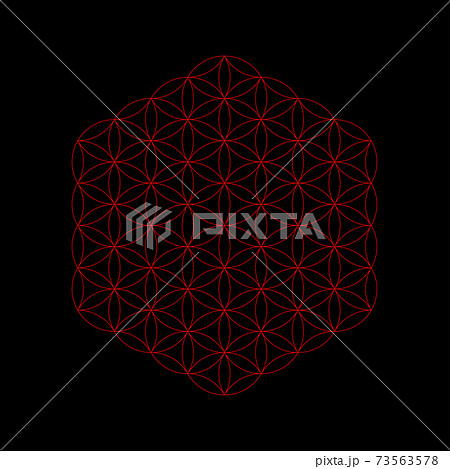 Flower of life background Flower of life background 73563578