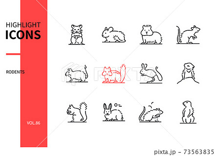 Rodents - modern line design style icons set 73563835