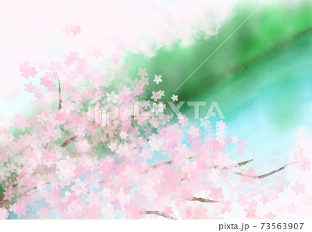 春爛漫の桜 水辺を見下ろす場所から見た満開の花のイラスト素材