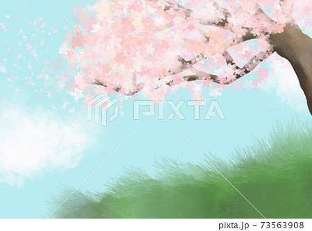 春爛漫の桜 土手に寝転ぶなど見上げる場所から見た満開の花のイラスト素材