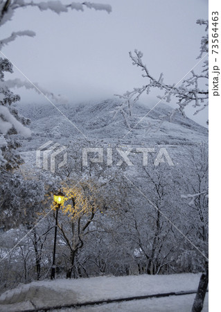 Beautiful view of the night winter city park. Lanterns by the road illuminate the path. Background for a greeting card. Top view of the snowy mountains in evening. Mashuk, Pyatigorsk. 73564463