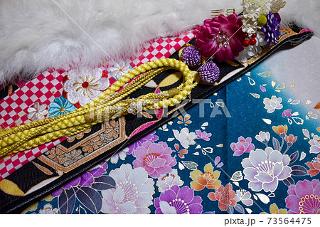 晴れ舞台を待つ晴れ着 晴れ舞台を待つ晴れ着 73564475