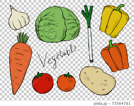 野菜やベジタブルの手書きイラストイメージのイラスト素材