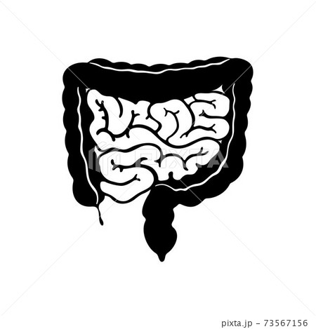 Gastrointestinal tract, body organ system Gastrointestinal tract, body organ system 73567156