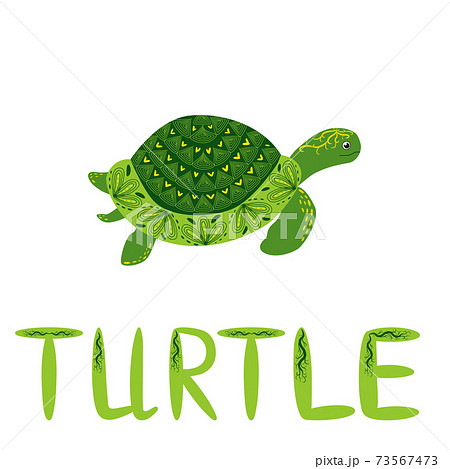 Scandinavian Style Green Turtle With Shell Hand のイラスト素材