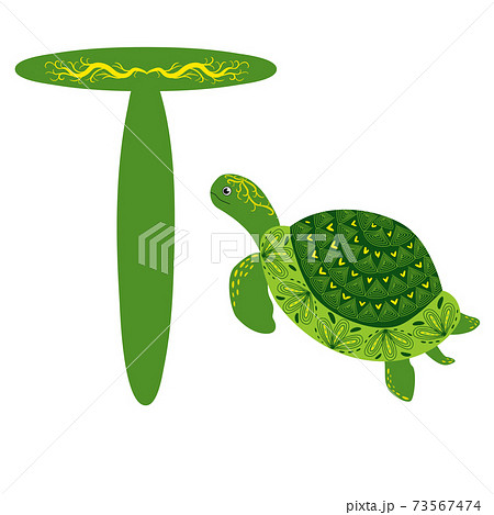 Green Scandinavian Style Turtle With Painted のイラスト素材