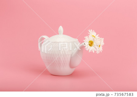 White porcelain tea pot with camomile flowers on pink background. Creative concept of herbal tea White porcelain tea pot with camomile flowers on pink background. Creative concept of herbal tea 73567583