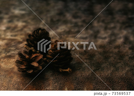 Pine cones on an earthen background Pine cones on an earthen background 73569537