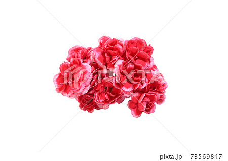 カーネーションの花束 73569847