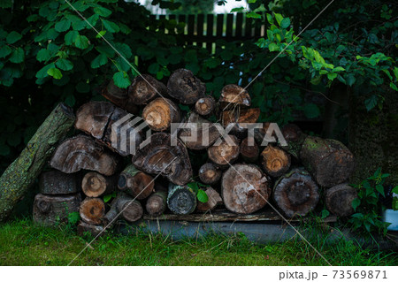 Close up photo of stacked short wood logs 73569871