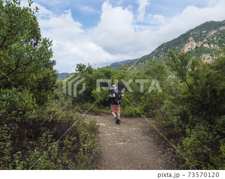 back of man hiker on hiking trail to Gola Su Gorropu gorge and green forest landscape of Supramonte Mountains with mediterranean vegetation, Nuoro, Sardinia, Italy. Summer back of man hiker on hiking trail to Gola Su Gorropu gorge and green forest landscape of Supramonte Mountains with mediterranean vegetation, Nuoro, Sardinia, Italy. Summer 73570120
