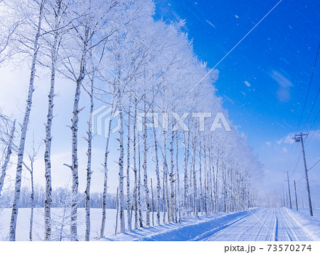 青空と霧氷 青空と霧氷 73570274