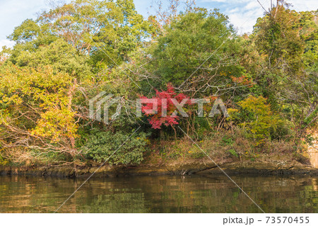 【クルーズ船からの亀山湖の紅葉】 73570455