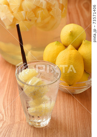 生絞り レモンサワー レモンスカッシュ 生絞り レモンサワー レモンスカッシュ 73571406