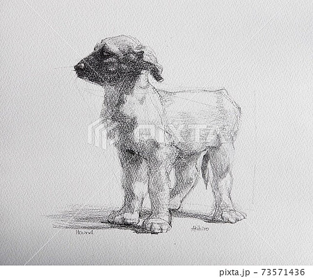 犬のイラスト 犬のイラスト 73571436