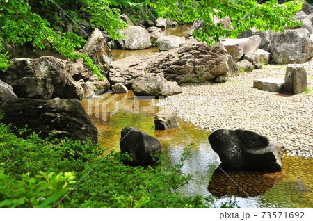 神奈川県立四季の森公園　じゃぶじゃぶ池と新緑 73571692