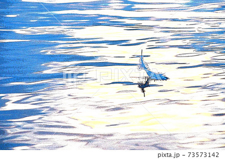 輝く水面に揺らめく白鳥の羽根 輝く水面に揺らめく白鳥の羽根 73573142