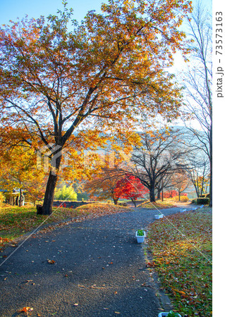 矢瀬親水公園 矢瀬遺跡 早朝の風景 秋の景色 の写真素材