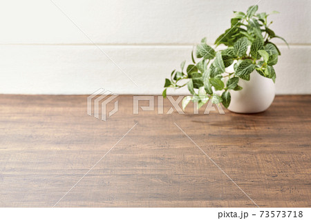 シンプルな背景素材 73573718