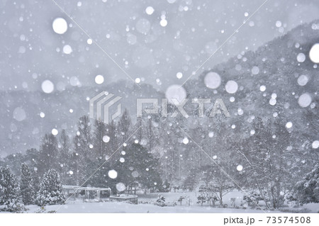 降り頻る雪 降り頻る雪 73574508