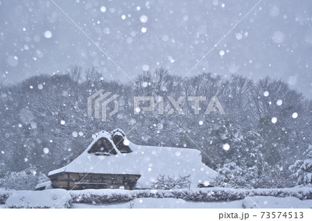 降り頻る雪 降り頻る雪 73574513