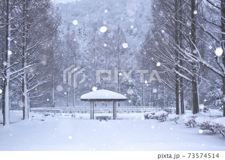 降り頻る雪 73574514