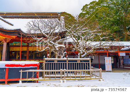 雪の太宰府天満宮 福岡県太宰府市 73574567