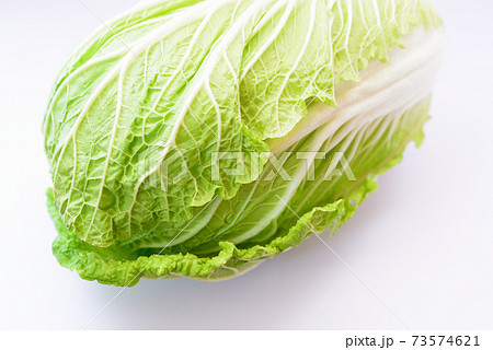 新鮮な冬の野菜　白菜 73574621