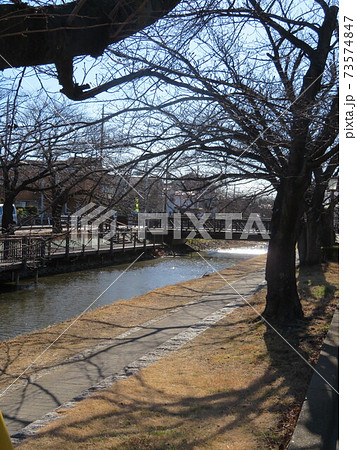 小さな橋と光あふれる水面 小さな橋と光あふれる水面 73574847