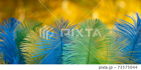 The feathers of birds are green, yellow and blue. Colors of the flag of Brazil. Headpiece for a carnival costume. The feathers of birds are green, yellow and blue. Colors of the flag of Brazil. Headpiece for a carnival costume. 73575044