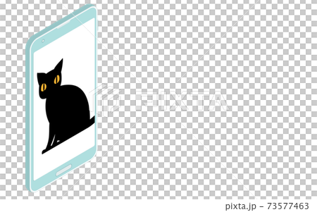 等距，在線會議上的一隻貓的插圖 73577463