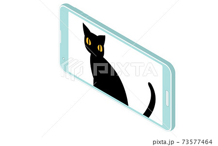 オンラインミーティングにネコが紛れ込んだイラスト、アイソメトリック 73577464