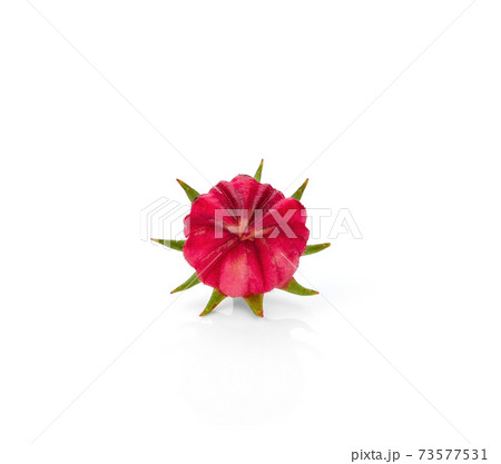 Hibiscus sabdariffa or roselle fruits isolated on white background 73577531