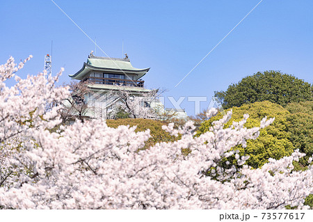 小牧山と小牧城と桜　遠景 73577617